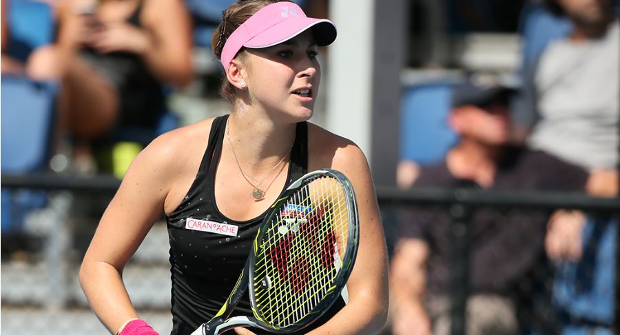 阿劳霍总能 阿劳霍总能